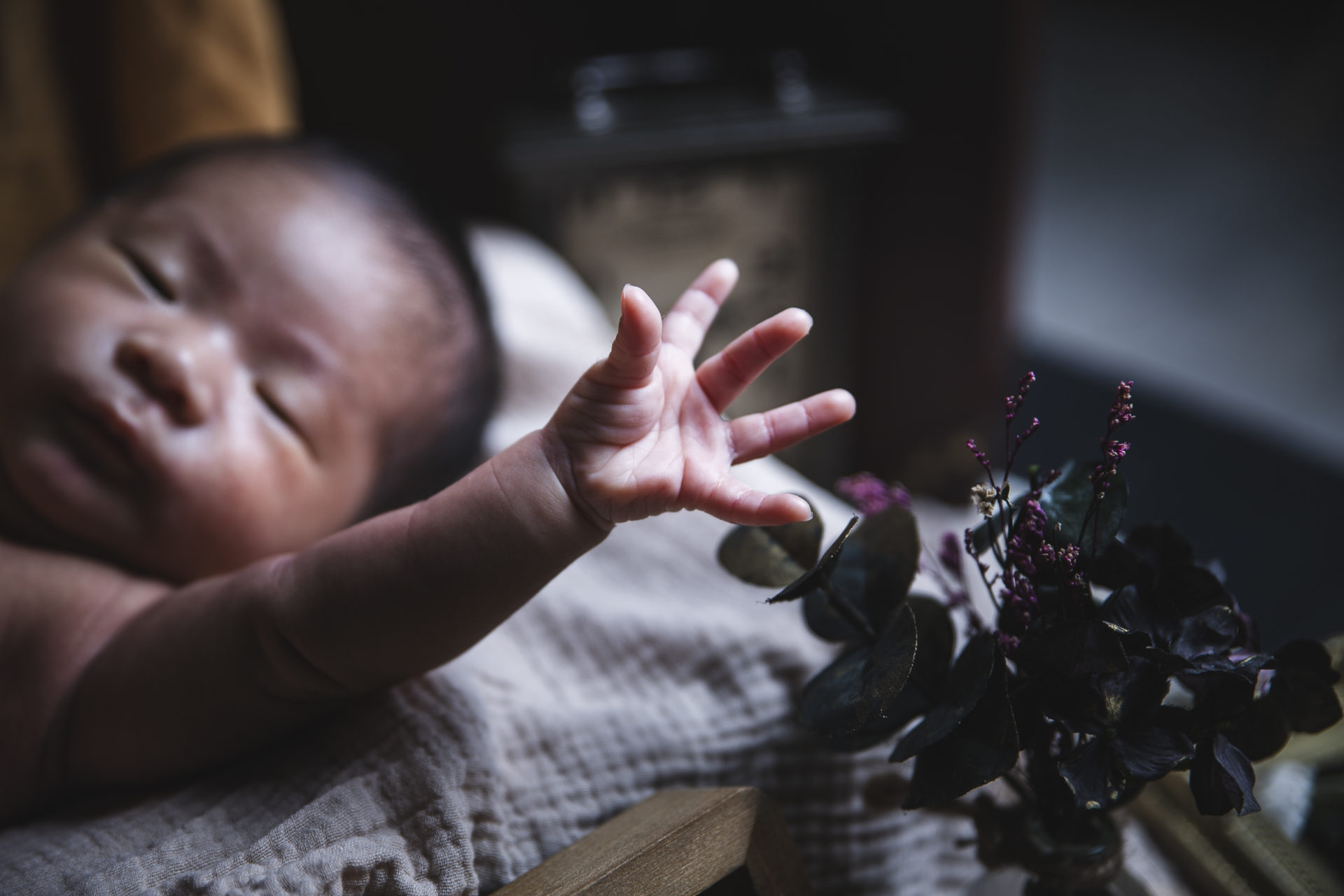 ニューボーン newborn